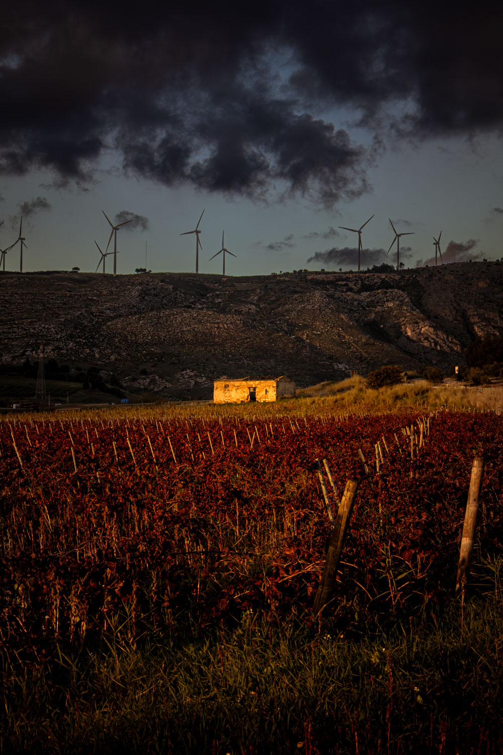 Milan Rome Etna Catania Florence Bologna