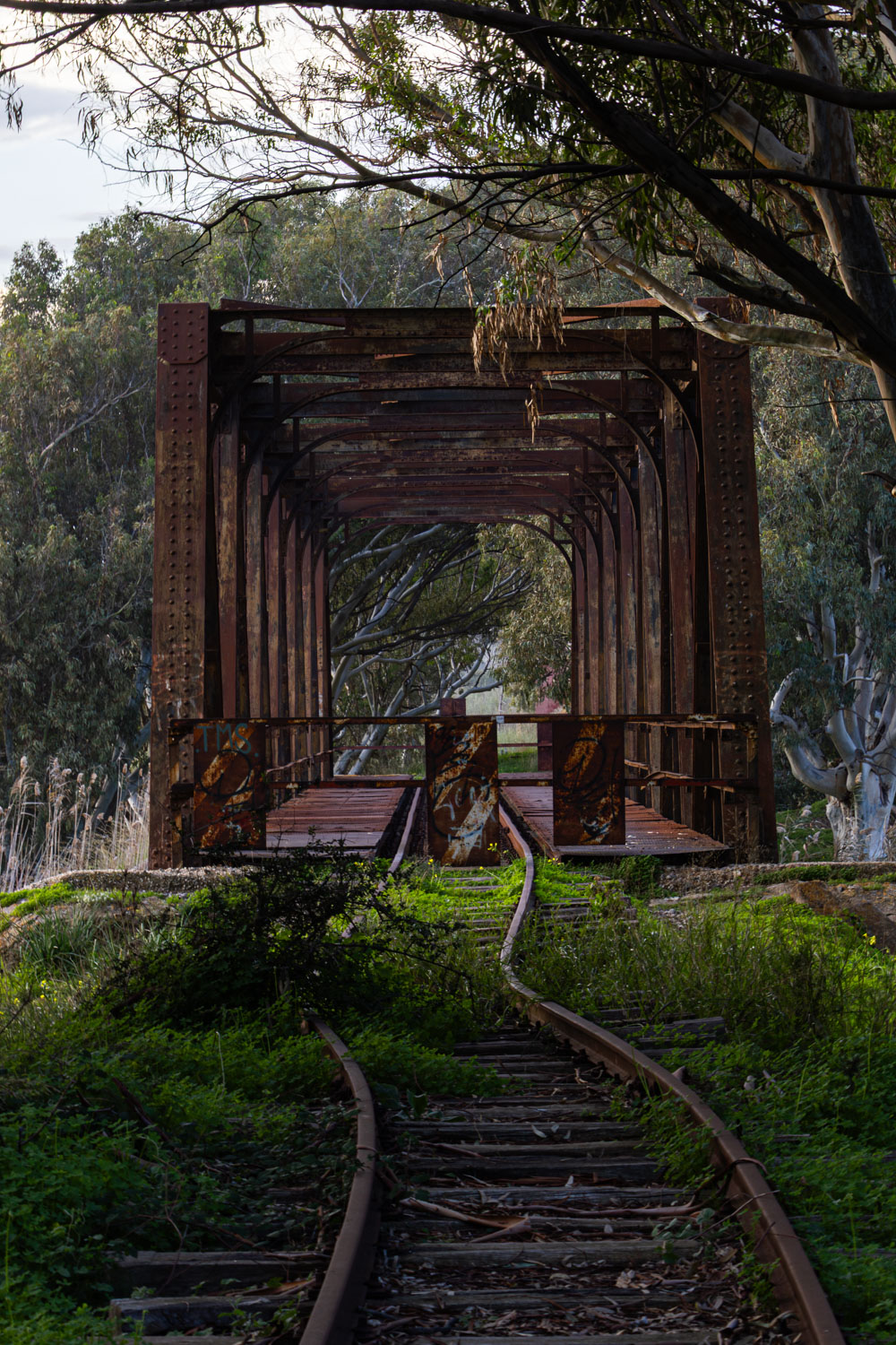 Milan Rome Etna Catania Florence Bologna